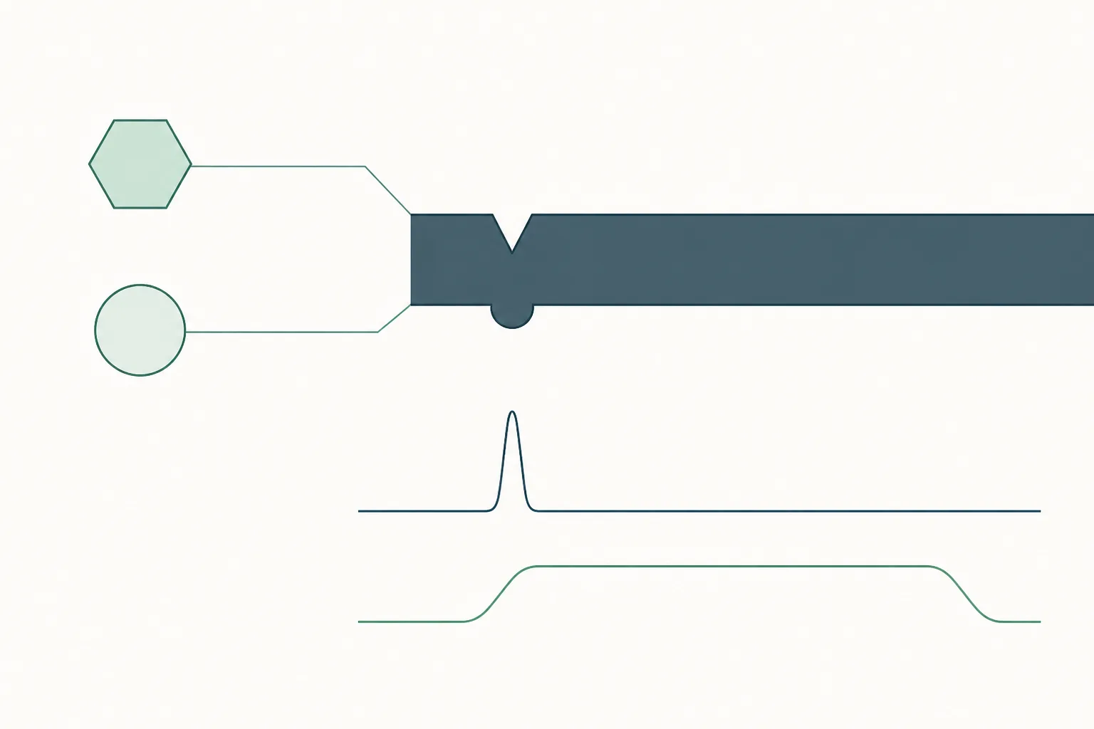 Abstract comparative diagram: two differently shaped forms each linked to its own differently shaped notch in a single horizontal band, with a narrow spike and a long low plateau traced beneath.