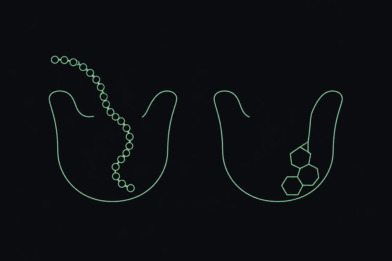 On a dark charcoal background, a long flexible mint-green chain of linked beads curls into a receptor-shaped cup on the left, while on the right a single small compact geometric shape sits deeper inside an identical cup